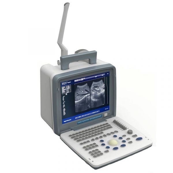 Promed Group DP-6800