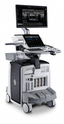 GE Healthcare Logiq E10