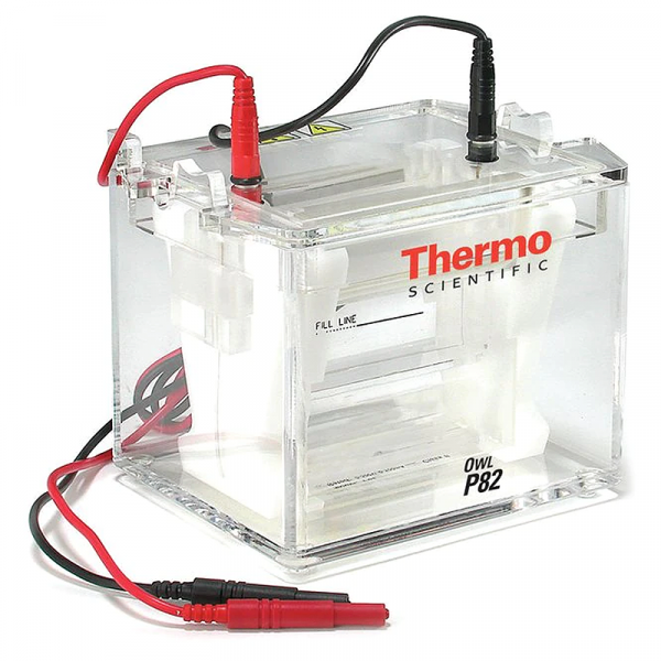 Thermo Fisher Scientific Owl P82 Dual-Gel