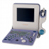 Hitachi Prosound 2