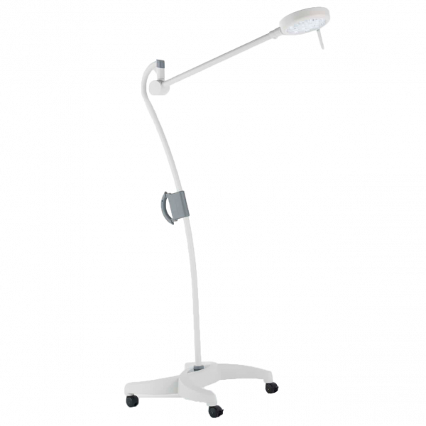 MS Westfalia Blanc Q/Q+/Q0