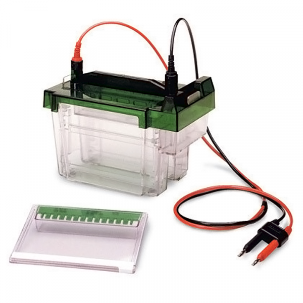 Bio-Rad Criterion Cell