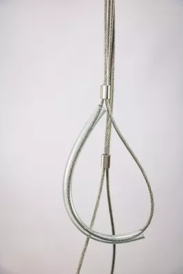 Усиленная ринговка для собак и щенков wikiGROOM №2