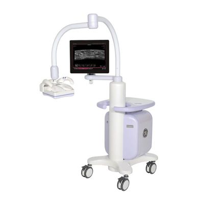 GE Healthcare Invenia Abus