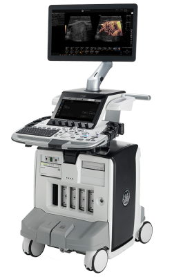 GE Healthcare Logiq E10