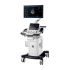 GE Healthcare Vivid T8