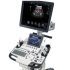 GE Healthcare Logiq F8