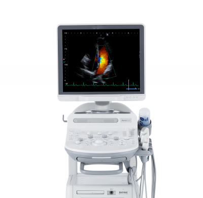 Canon Xario 100G