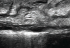 Acuvista Grace Scale