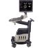GE Healthcare Voluson S6