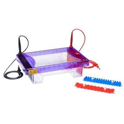 Cleaver Scientific MultiSUB Choice
