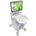 Canon Xario 100G