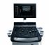 GE Healthcare Versana Essential